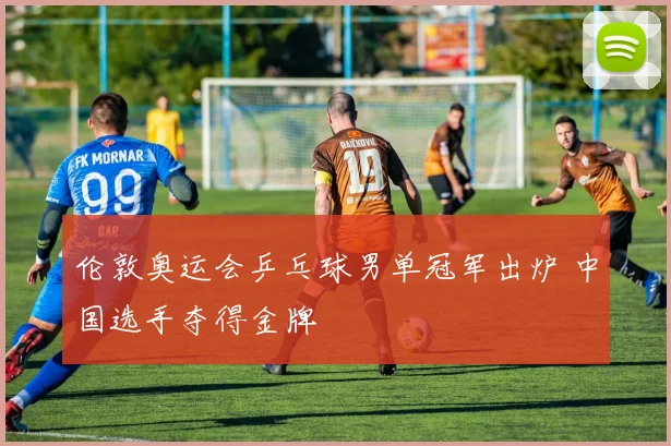 伦敦奥运会乒乓球男单冠军出炉 中国选手夺得金牌