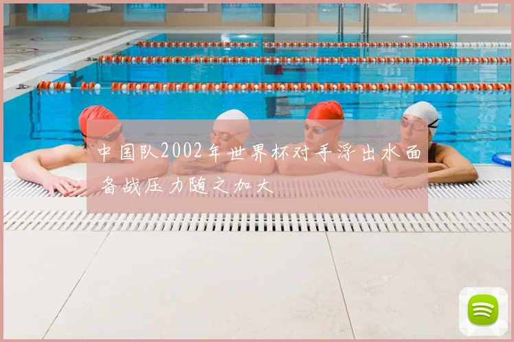 中国队2002年世界杯对手浮出水面 备战压力随之加大