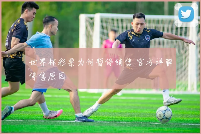世界杯彩票为何暂停销售 官方详解停售原因
